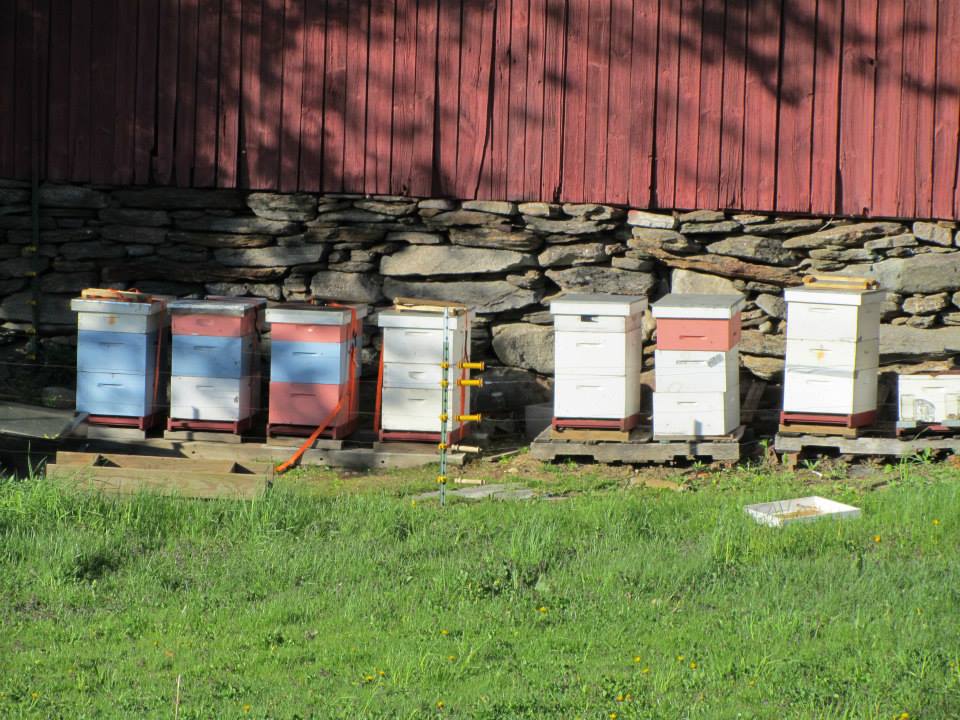 Bee Hives